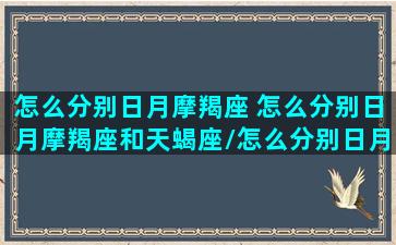 怎么分别日月摩羯座 怎么分别日月摩羯座和天蝎座/怎么分别日月摩羯座 怎么分别日月摩羯座和天蝎座-我的网站